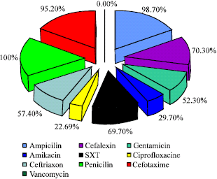 Image for - Study of Prevalence and Antimicrobial Susceptibility Pattern of Bacteria Isolated from Blood Cultures