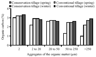 Image for - Soil Organic Matter Particle and Presence of Earthworm Under Different Tillage Systems