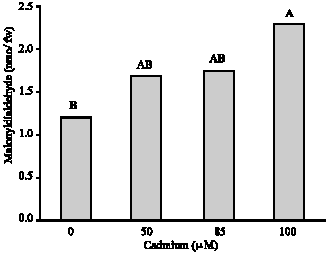Image for - Activity of Antioxidant Enzymes in Response to Cadmium in Arabidopsis thaliana