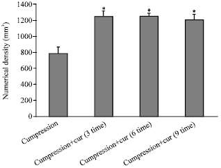Image for - Neuroprotetive Effect of Curcuma longa Alcoholic Extract on Peripheral  Nerves Degeneration after Sciatic Nerve Compression in Rats