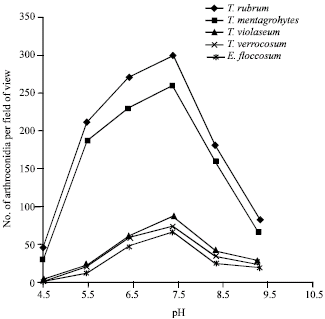Image for - Effects of Environmental Factors and Selected Antifungal Agents on Arthroconidia Production in Common Species of Trichophyton Genus and Epidermophyton floccosum