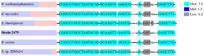 Image for - Molecular Identification by 16S rDNA Sequence of a Novel Bacterium Capable of Degrading Trichloroethylene