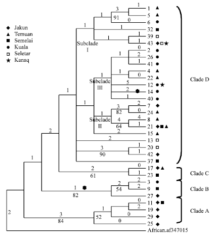 Image for - Mitochondrial DNA Polymorphism and Phylogenetic Relationships of Proto Malays in Peninsular Malaysia