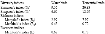 Image for - Density and Diversity of Water Birds and Terrestrial Birds at Paya Indah Wetland Reserve, Selangor Peninsular Malaysia