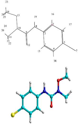 Image for - Theoretical Study of the Inclusion Processes of the Phenylurea Herbicide Metobromuron in β-cyclodextrin