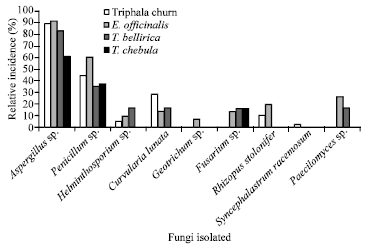Image for - Diversity of Fungi and Mycotoxins Associated with Stored Triphala Churn and its Ingredients