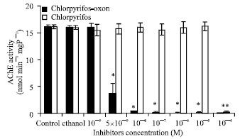Image for - Bioactivation of Chlorpyrifos in the Riceland Prawn, Macrobrachium lanchesteri