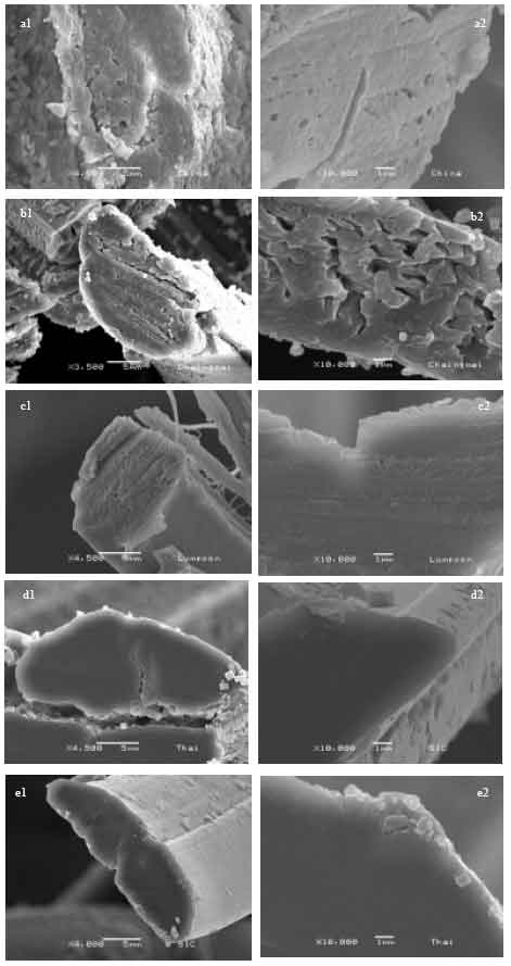 Image for - Cross-Section Images of Eri (Samia ricini)-Silk Fibers and Their Secondary Structures after Treatment with Different Organic Solvents