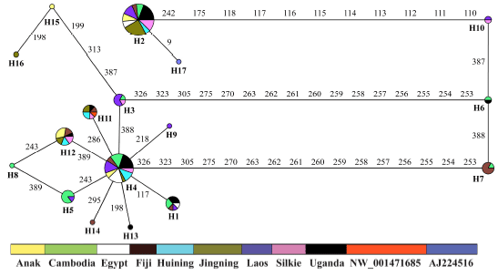 Image for - Characterization of Haplotype Diversity Defined by Discontinuous Insertions/Deletions Within the Intron 2 of Interleukin 2 in Different Domestic Chicken Populations