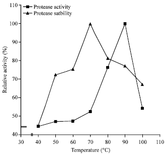 Image for - Purification and Some Properties of Thermo-stable Alkaline Serine Protease from Thermophilic Bacillus sp. Gs-3