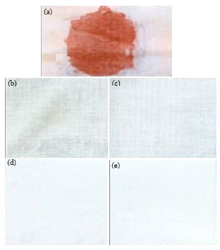 Image for - Purification and Some Properties of Thermo-stable Alkaline Serine Protease from Thermophilic Bacillus sp. Gs-3