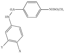 Image for - New N-aryl-4-(methysulfony)aminobenzenesulfonamides as Selective COX-2 inhibitors