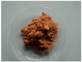 Image for - Tamarind Seed Coat Extract Reduces Melanin Production via Tyrosinase in Melanocyte