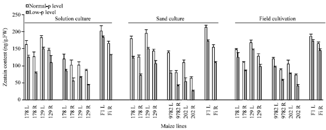 Image for - Effect of Low Phosphorus Stress on Endogenous Hormone Levels of Different  Maize Genotypes in Seedling Stage