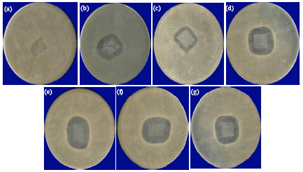 Image for - Shelf Life Extension of Cheddar Processed Cheese Using Polyethylene Coating Films of Nisin against Bacillus cereus