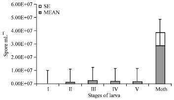 Image for - Comparative Study on Effect Different Types of Nosema sp. (Microsporidia: Nosematidae) on Mulberry and Vanya Silkworms