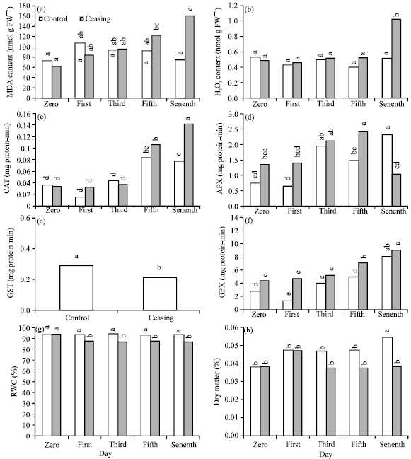 Image for - Effect of Activity Ceasing of Acetyl CoA-carboxylase on Growth and Antioxidant System in Seedling Stage of Barley