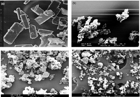 Image for - Inclusion Complex of Solid State Aspirin with Fulvic Acid: Dissolution, Permeability, Stability and Preliminary Pharmacological Studies