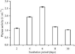 Image for - Evaluation of Phytase-producing Ability by a Fish Gut Bacterium, Bacillus subtilis subsp. subtilis