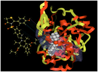 Image for - Study of Structure Based Drug Design for 1,4 Dihydropyridine Derivatives as Cox-II Inhibitors