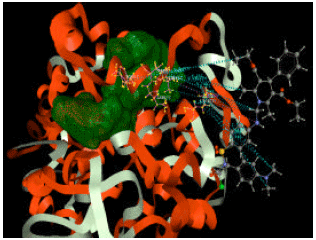 Image for - Study of Structure Based Drug Design for 1,4 Dihydropyridine Derivatives as Cox-II Inhibitors