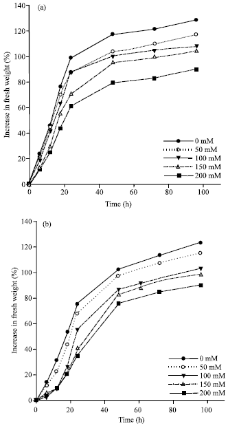 Image for - Effect of Salt Stress on α-amylase Activity, Sugars Mobilization and Osmotic Potential of Phaseolus vulgaris L. Seeds Var. ‘Cocorose’ and ‘Djadida’  During Germination