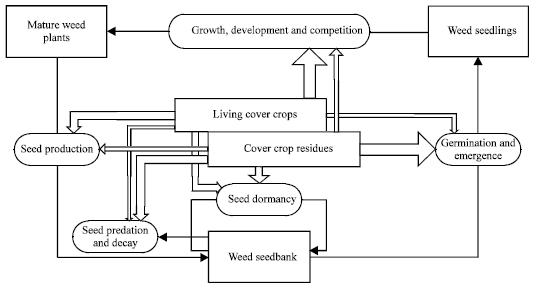 Image for - Mechanisms of Ecological Weed Management by Cover Cropping: A Review