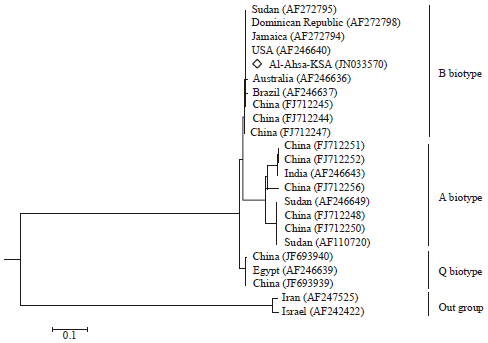 Image for - Molecular Identification of the Biotype of Whitefly (Bemisia tabaci)  Inhabiting the Eastern Region of Saudi Arabia