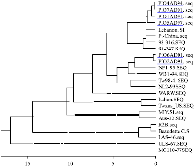 Image for - Molecular Characterization and Phylogenetic Analysis of Selected Pigeon Paramyxovirus Type-1 (PPMV-1) Indian Isolates