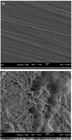 Image for - Disinfection of Sulfate Reducing Bacteria using Ultraviolet Treatment in Mitigating Microbiologically Influenced Corrosion