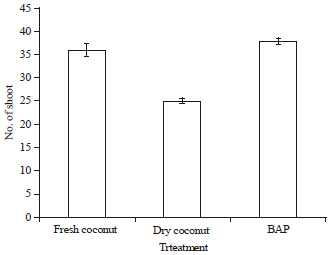 Image for - Coconut Water from Fresh and Dry Fruits as an Alternative to BAP in the  in vitro Culture of Dwarf Cavendish Banana