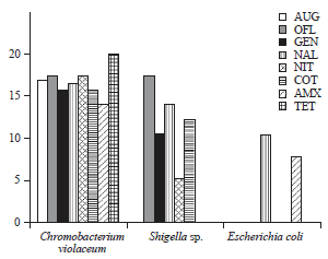 Image for - Antibiogram of Bacteria Species Isolated from Vegetables in Ado-Odo Ota, Nigeria