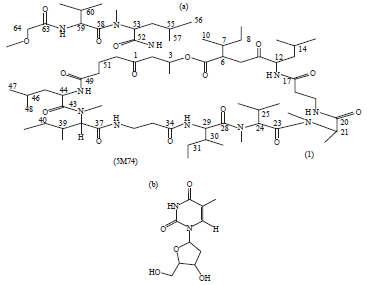 Image for - Apoptosis Induction of Bioactive Substance Theonellapeptolide 1d and 1-(Tetrahydro-4-Hydroxy-5-(Hydroxymethyl)Furan-2-yl)-5-Methyl Pyrimidine-2,4(1H,3H)-Dione Isolated from Kaliapsis sp. Sponge Collection from West Bali National Park Indonesia