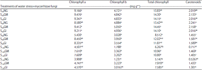 Image for - Changes in Content of Chlorophyll, Carotenoids, Phosphorus and Relative Water Content of Medicinal Plant of Borage (Borago officinails L.) under the Influence of Mycorrhizal Fungi and Water Stress