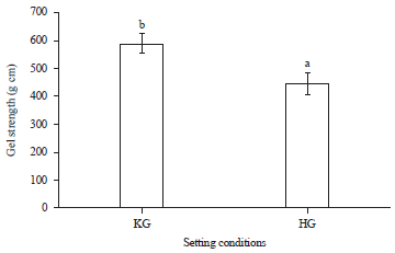 Image for - Effect of Setting Condition on the Gel Properties of Surimi from Catfish (Clarias gariepinus)