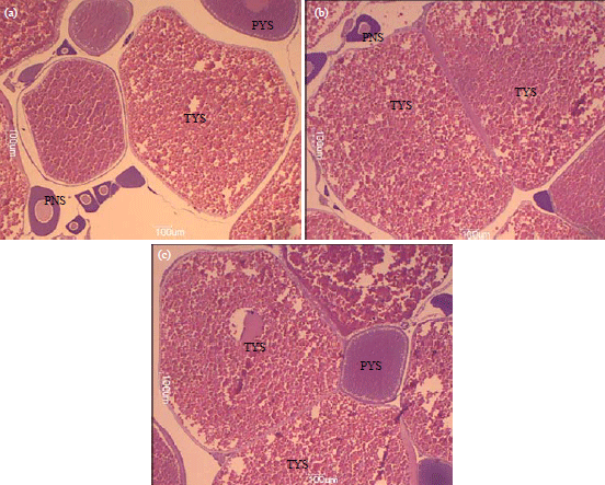 Image for - Effects of Melatonin and Zinc Amino Acid on Female Walking Catfish (Clarias macrocephalus) Broodstock Performance