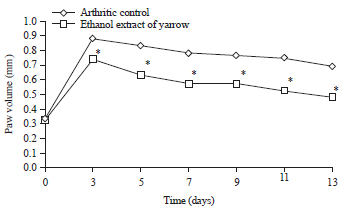 Image for - Evaluation of Antioxidant, Anti-inflammatory and Anti-arthritic Activities of Yarrow (Achillea millefolium)