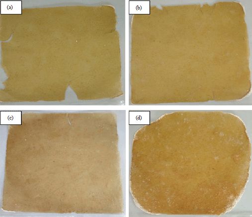 Image for - Fabrication and Characterization of Sweet Potato Starch-basedBioplastics Plasticized with Glycerol