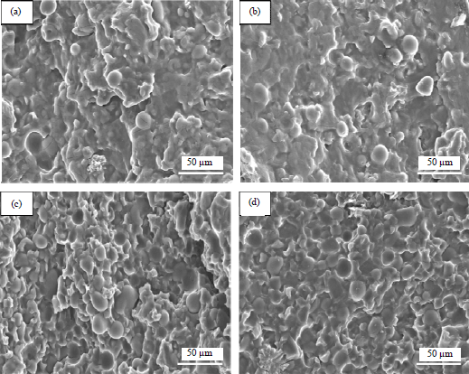 Image for - Fabrication and Characterization of Sweet Potato Starch-basedBioplastics Plasticized with Glycerol