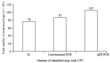 Image for - Prevalence of Canine Parvovirus Infection in Egypt: Reliability of Some Molecular Methods Used for its Diagnosis in Dogs