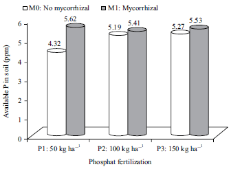 Image for - Growth and Yield of Two Soybean Varieties by Phosphate Fertilization and Arbuscular mycorrhizal Application