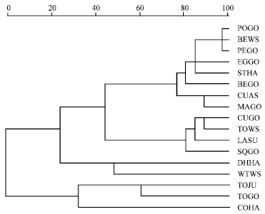 Image for - Survey of Bemisia tabaci (Gennadius) (Homoptera: Aleyrodidae) Biotypes in Jordan using RAPD marker