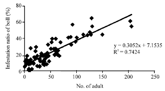 Image for - Relationships Between the Numbers of Adult Male Pink Bollworm (Pectinophora gossypiella Saund.) Catches on Pheromone Traps and Infestation Ratio of Cotton Bolls