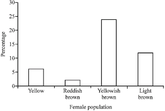Image for - Colour Variation and Genetic Diversity in Tea Mosquito Bug [Helopeltis theivora (Hemiptera: Miridae)] Population from Badlabeta Tea Estate, Upper Assam, India