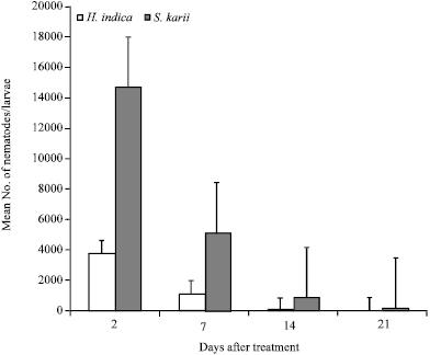 Image for - Effectiveness of Entomopathogenic Nematodes against Sweet Potato Weevil (Cylas puncticollis Boheman (Coleoptera: Apionidae)] Under Semi-Field Conditions in Kenya