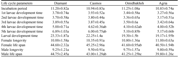 Image for - Life Cycle Parameters of Empoasca decipiens Paoli (Hom.: Cicadellidae) on Four Potato Cultivars (Solanum tuberosum L.) in Iran