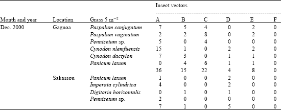 Image for - New Records of Insect Vectors of Rice Yellow Mottle Virus (RYMV) in Cote d`Ivoire, West Africa