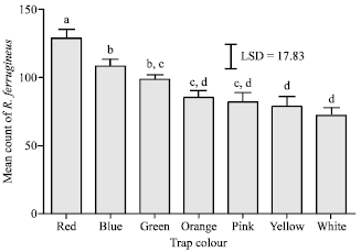 Image for - Effect of Color on the Trapping Effectiveness of Red Palm Weevil Pheromone Traps