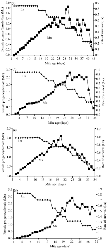 Image for - Effect of Temperature on the Biology and Life Tables of Agistemus exsertus Fed Tetranychus urticae (Acari: Stigmaeidae: Tetranychidae) in Hail, Saudi Arabia