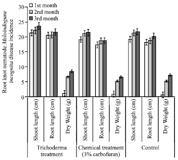 Image for - Effect of Trichoderma viride Strain NRRL 6418 and Trichoderma harzianum (Hypocrea lixii TWC1) on Livistona rotundifolia Root Knot Nematode Meloidogyne incognita